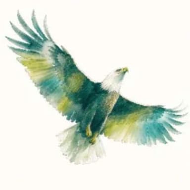 Le Challenge — Aigle