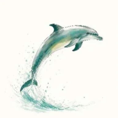 Le Talent — Dauphin